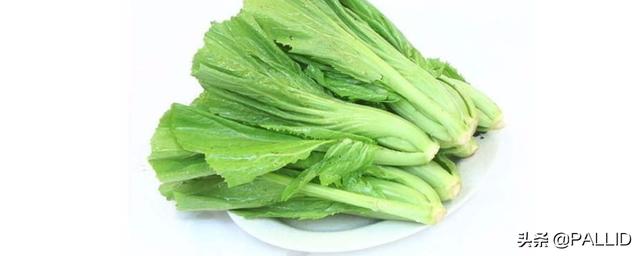 芥菜的图片_芥兰菜的图片