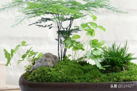 教师节花束_教师节花束制作
