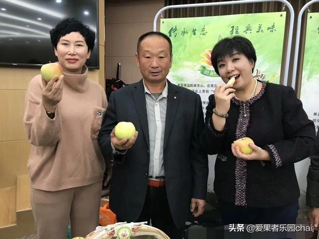 苹果苗木_苹果苗木培育基地