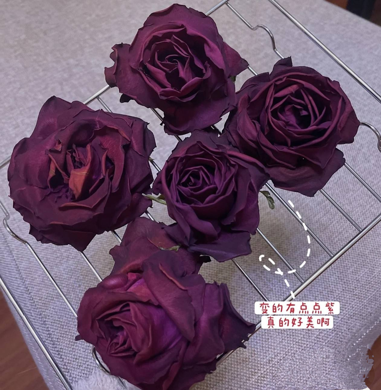 干花制作方法_干花制作方法及过程
