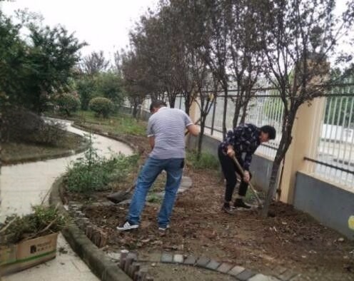 草坪怎么种_草坪怎么种才好看