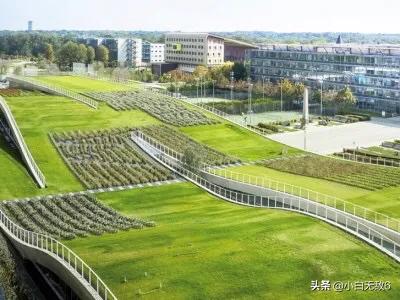 楼顶绿化_屋顶绿化政策2025年最新文件