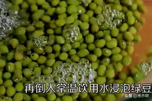 苗菜种植_苗菜种植能赚钱吗