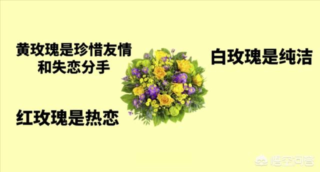 情人节送什么花好_情人节送什么花好给男朋友