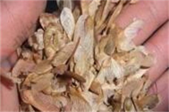 准备土壤_准备土壤任务