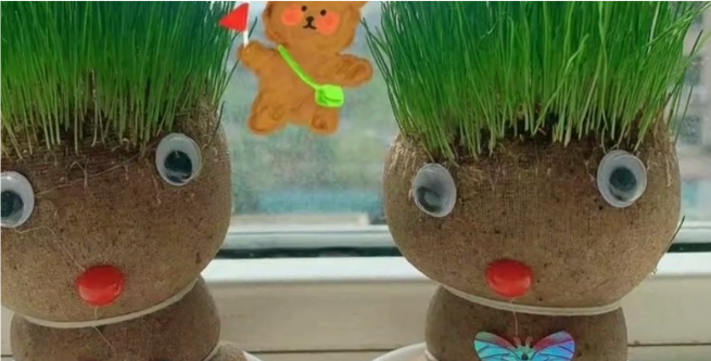 草头娃娃_草头娃娃图片大全