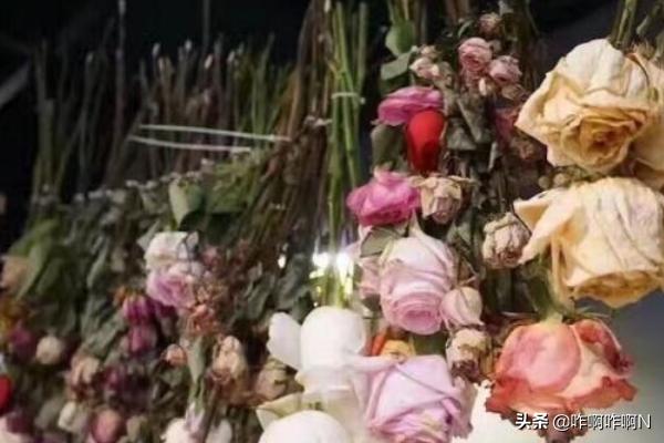 干花制作_干花制作工艺流程