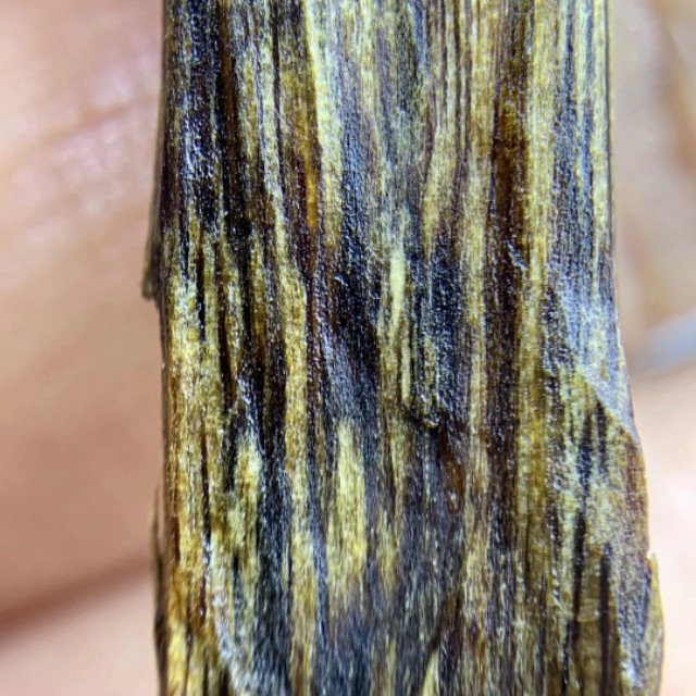 名贵中草药种植_名贵中草药种植方法
