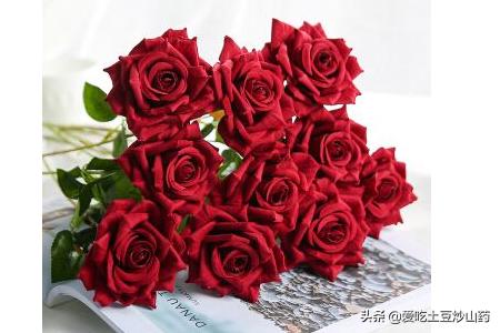 母亲节送花_母亲节送花图片