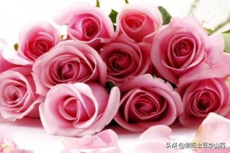 母亲节送花_母亲节送花图片