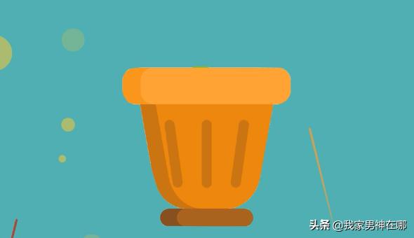 百日草_百日草的寓意和花语