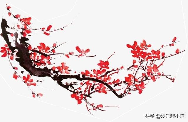 武汉鲜花网_武汉鲜花市场在哪里