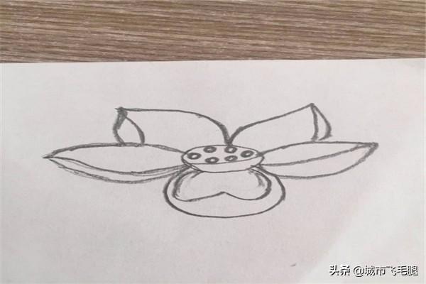关于荷花的图片_关于荷花的图片头像