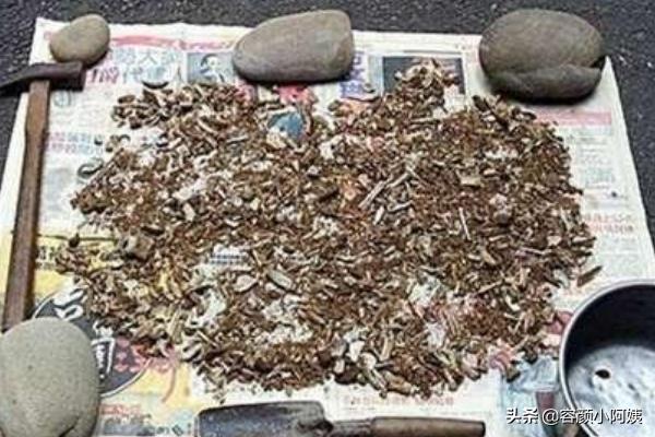 家庭自制花肥_家庭自制花肥怎么做
