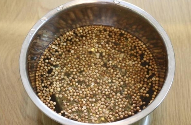 花盆种菜_阳台花盆种菜