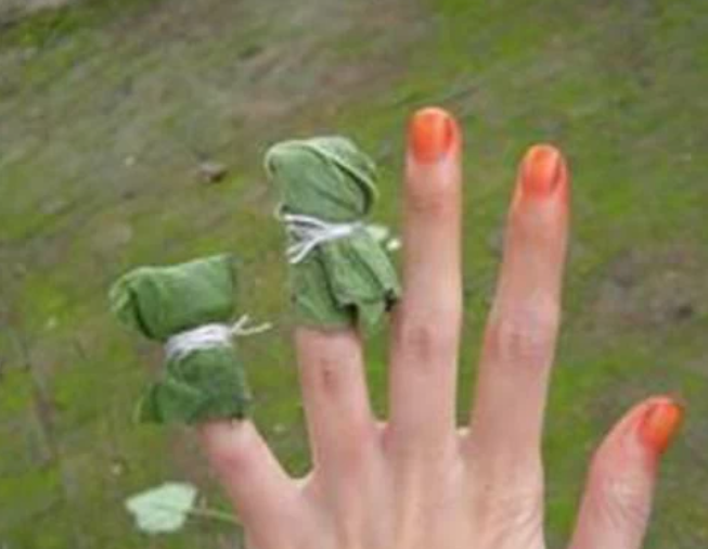 染指甲的指甲花_染指甲 花