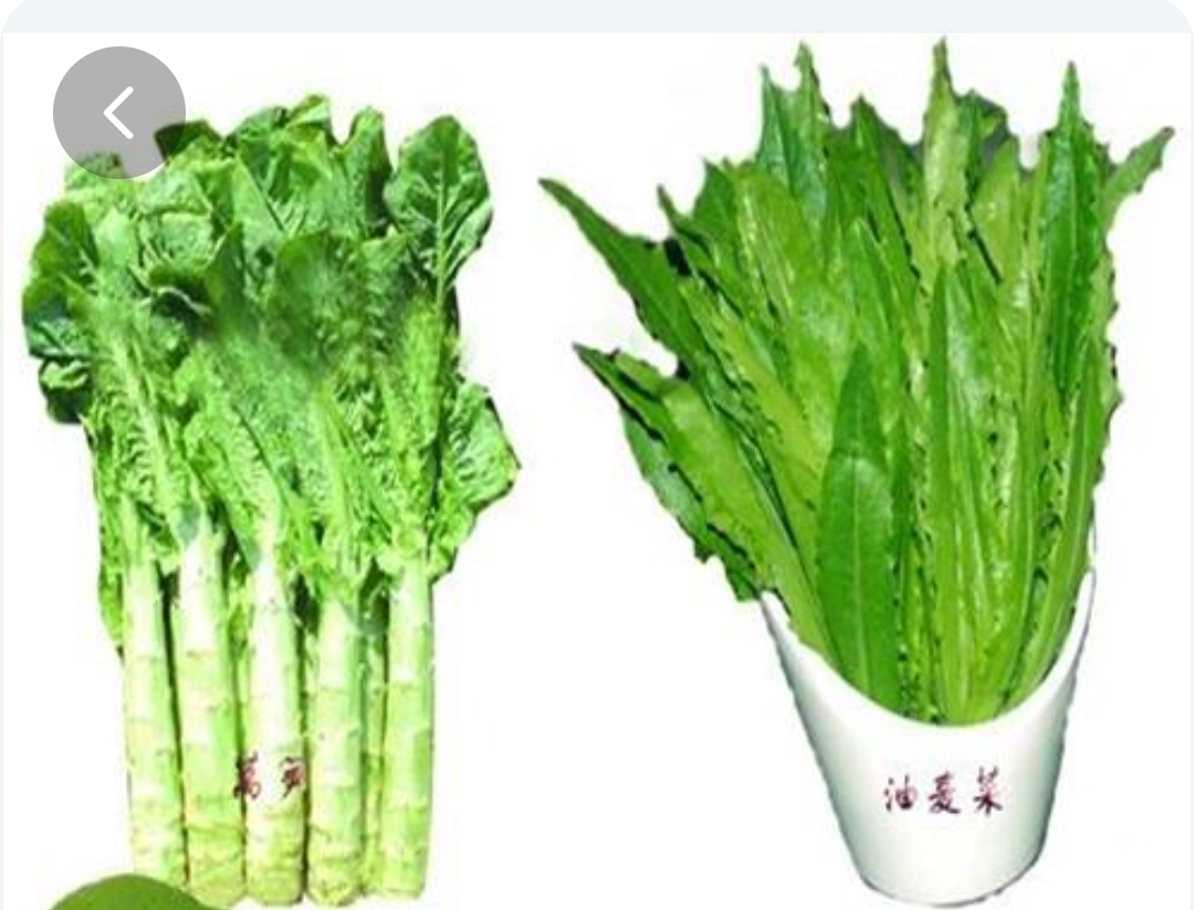 莴苣图片_去皮莴苣图片