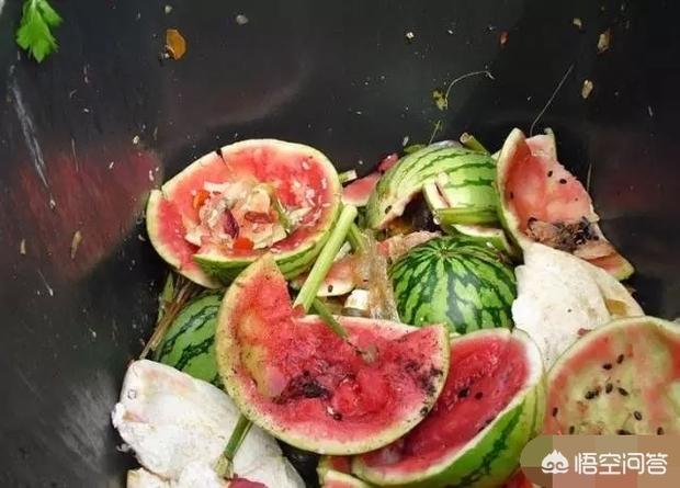 如何自制花肥_如何自制花肥水
