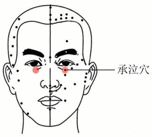 美人蕉根图片_美人蕉根怎么吃