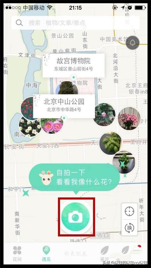 植物查询网站_查询植物的软件叫什么