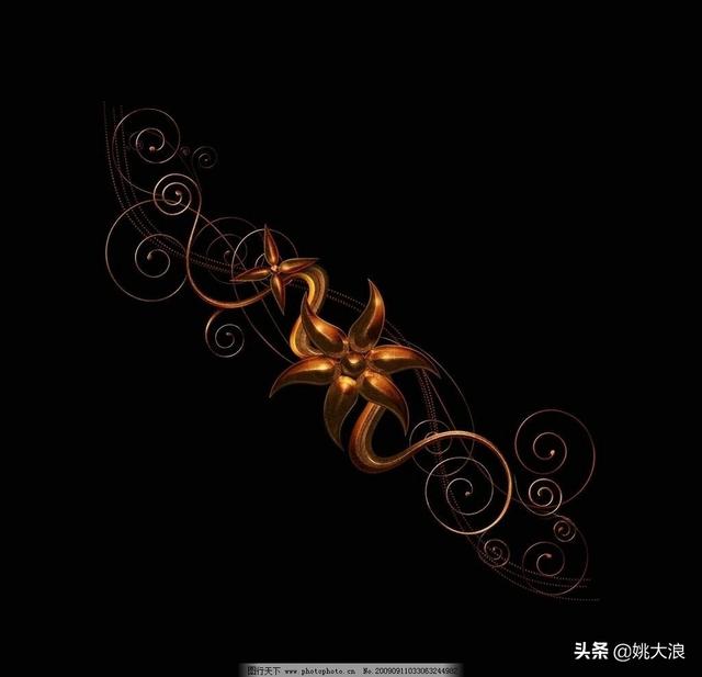 8种黑色的花_黑色的花叫什么花