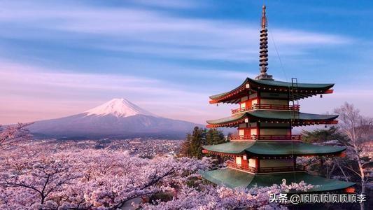 樱花的花语功效特点诗词_樱花的花语有哪些