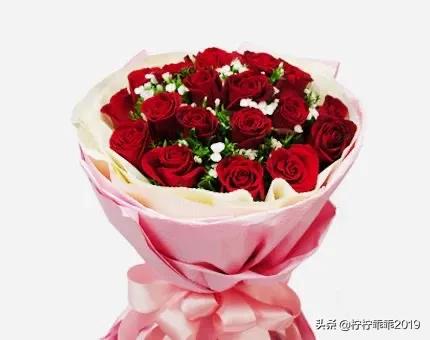 21朵花是暗示什么_21朵花的花语是什么