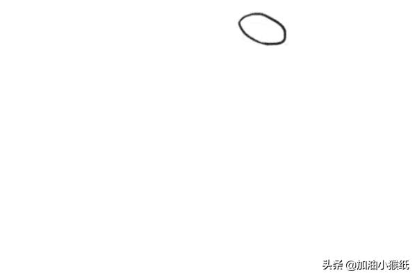 所有花的图片大全_所有花的画法图片