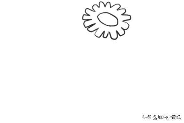 所有花的图片大全_所有花的画法图片