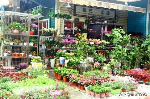 鲜花小镇游戏破解内购版_鲜花小镇游戏破解版免内购