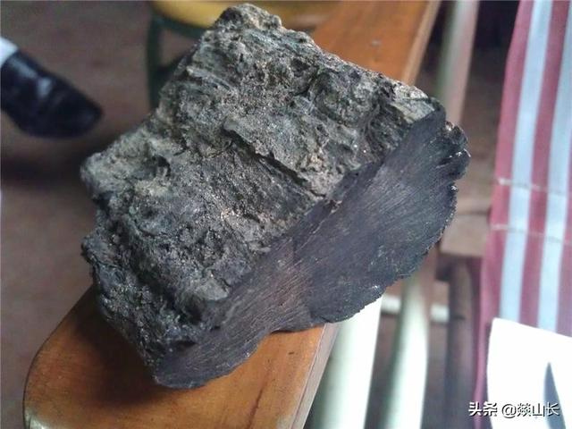 名贵树种有哪些_名贵树种图片及名称