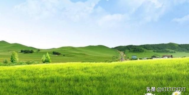 春天美景图片（春天美景图片儿童画）