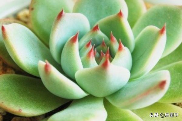 怎么样开花店（怎么样开花店做生意）