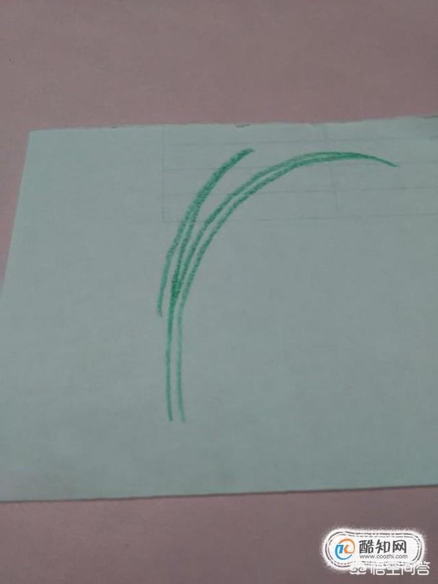 兰花怎么画简单好看（兰花怎么画简单好看又漂亮）