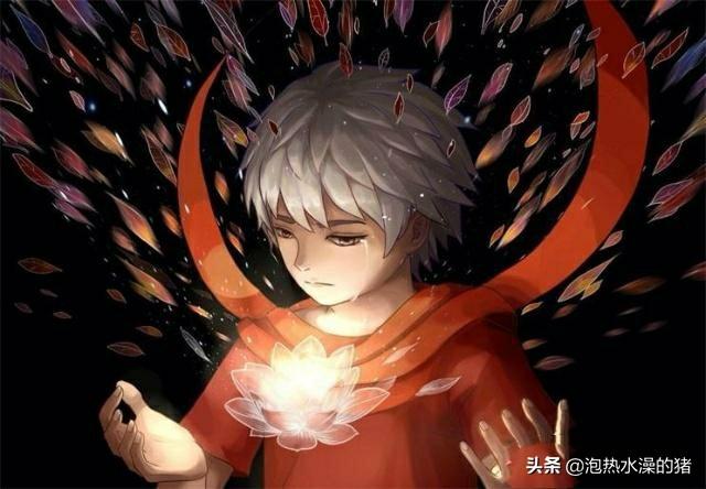 海棠的隐喻和寓意(凤凰台上绿海棠的隐喻和寓意)