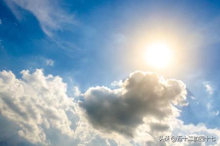 发财树怎么能养好（发财树该怎样养）