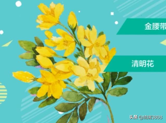 春天有什么花开放吗（春天有什么花儿开放）