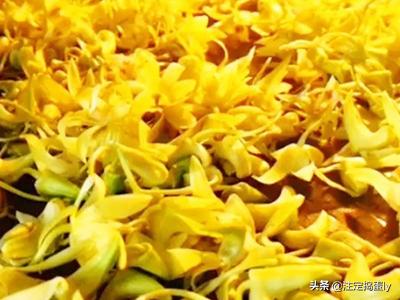 铁皮石斛花怎么吃（铁皮石斛花怎么吃最有效）