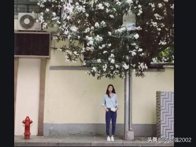送老婆的鲜花图片（送老婆的鲜花图片真实）