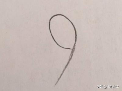 画玫瑰花的图片（画玫瑰花的图片怎么画）