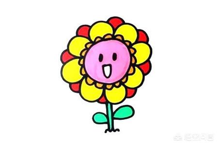 花朵图案大全图片（100张漂亮花朵图片）