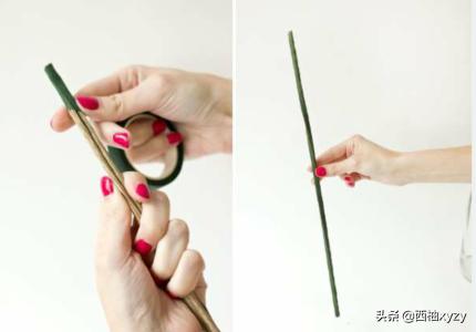 玫瑰花加工方法有哪些（玫瑰花加工方法有哪些图片）